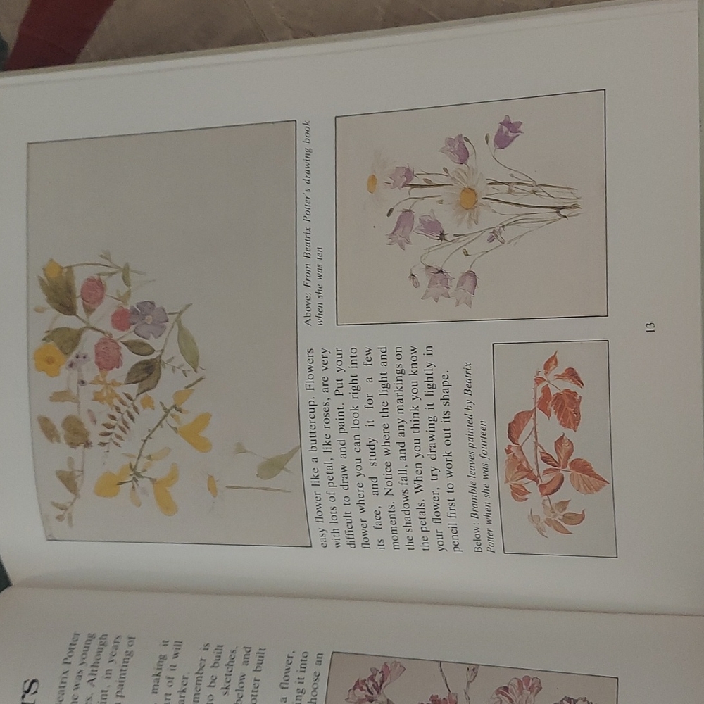 The Big Peter Rabbit Book - Picture 13 of 16